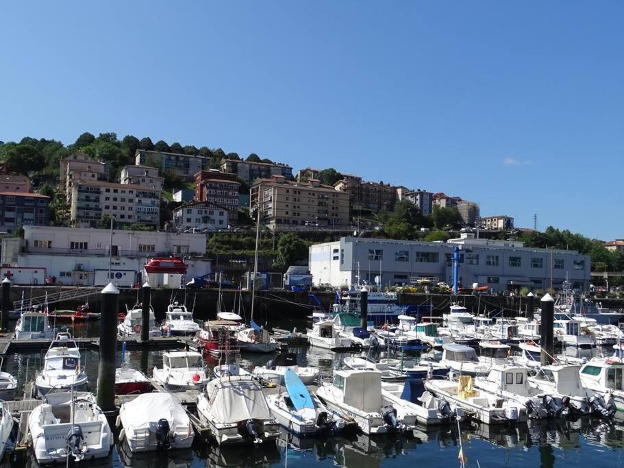 Oleta 9 Acogedor Apartamento En San Sebastián Habitación foto